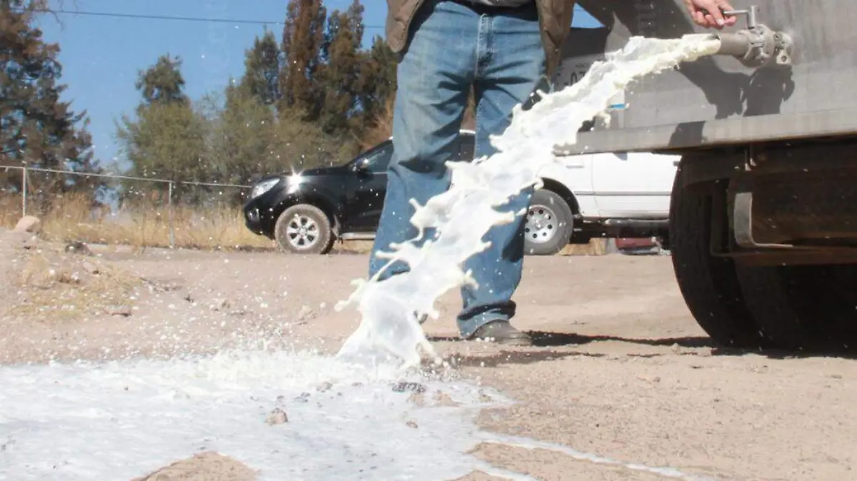 Marca de Agua Fotos